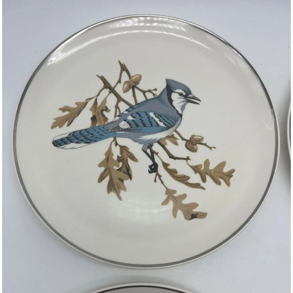 Crooksville usa songbirds